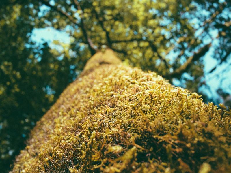 Riot拳头账号注册<br>2026全分区过验证注册教程